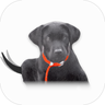 bronnie.ai icon